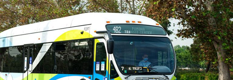 Foothill Bus from 482 Line